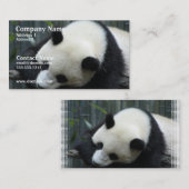 Panda Beer Visitekaartje (Voorkant / Achterkant)