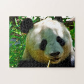 Panda-Beren. Legpuzzel (Horizontaal)