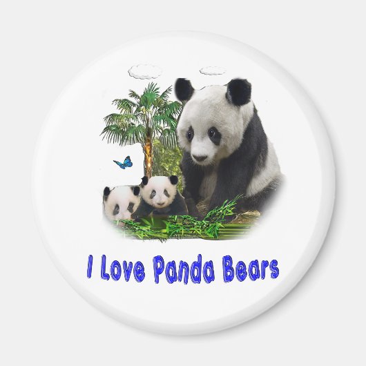 Panda Beren Magneet (Voorkant)