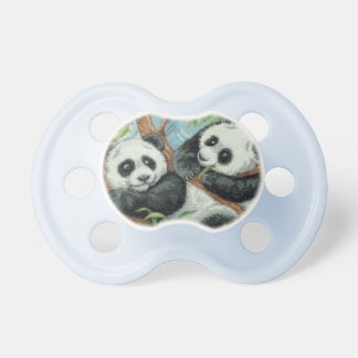 Panda-Beren op een Baby Speen
