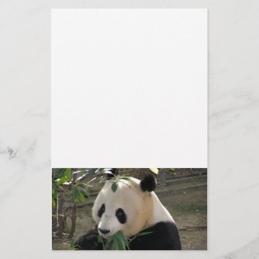 Panda Berenknuffels Briefpapier (Voorkant)