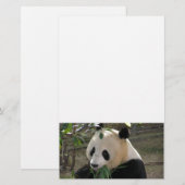 Panda Berenknuffels Briefpapier (Voorkant / Achterkant)