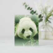 Panda Briefkaart (Staand voorkant)
