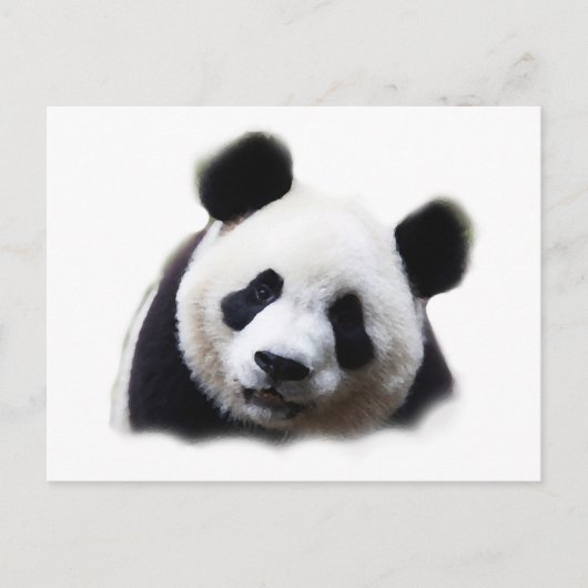 Panda Briefkaart (Voorkant)