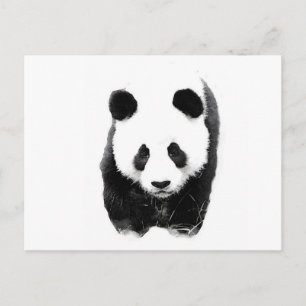 Panda Briefkaart