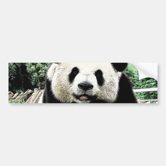 Panda Bumpersticker (Voorkant)
