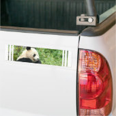 Panda Bumpersticker (Op Truck)