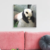 Panda Canvas Afdruk (Insitu (Woonkamer))