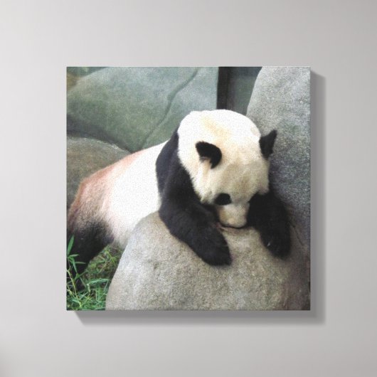 Panda Canvas Afdruk (Voorkant)