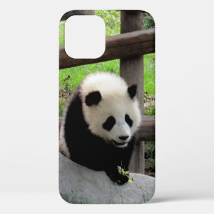 panda iPhone 12 hoesje