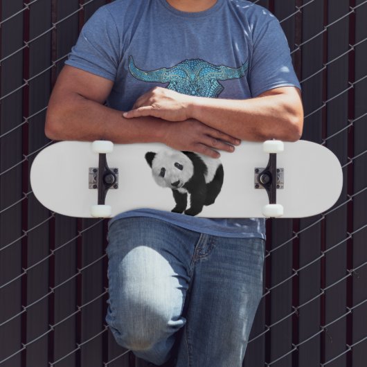 Panda Cub Skateboard (Buiten 3)