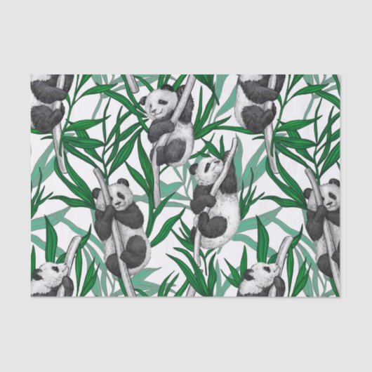 Panda cubs op tissuepapier (Voorkant)