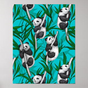 Panda cubs over turkooizen poster
