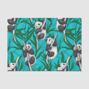 Panda cubs over turkooizen tissuepapier