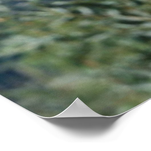 Panda dans un arbre poster 3 (Coin)