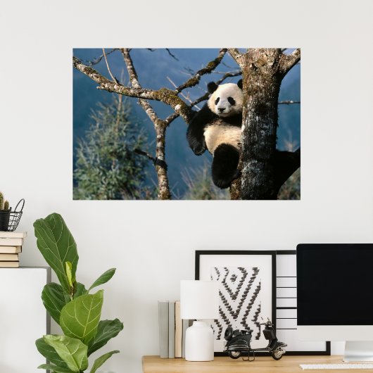 Panda dans un arbre poster 3 (Bureau à domicile)