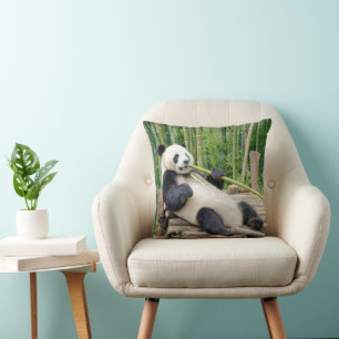 Panda die kauwt op een bamboestengel kussen