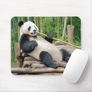 Panda die kauwt op een bamboestengel muismat