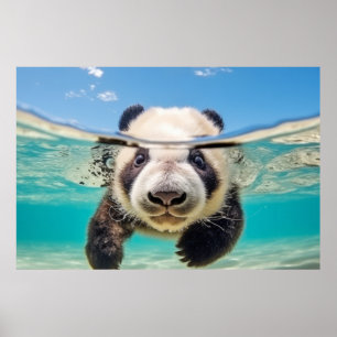 Panda Dier Fun Natuur Spelen Water Poster