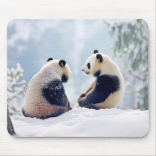 Panda Dier Wild Beauty Freedom Wilderness Natuur Muismat