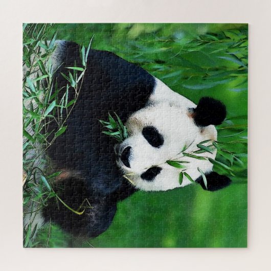 Panda Eating Leaves Legpuzzel (Horizontaal)
