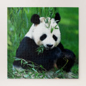 Panda Eating Leaves Legpuzzel (Verticaal)