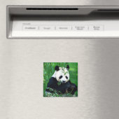 Panda Eating Leaves Magneet (Insitu (Vaatwasser))
