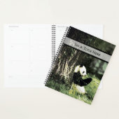 Panda Eats Bamboo Planner (Display)