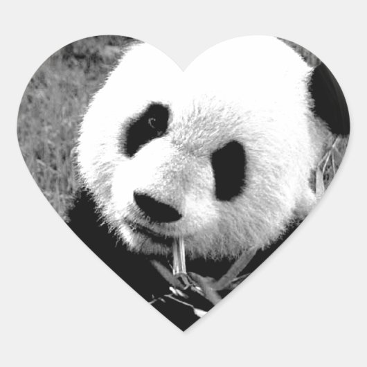 Panda Eyes Hart Sticker (Voorkant)