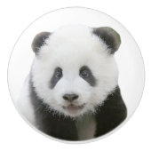 Panda Face Keramische Knop (Voorkant)