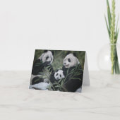 Panda Family Kaart (Voorkant)