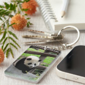 Panda-foto - sleutelhanger (Voorkant Rechts)