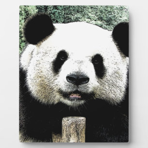 Panda Fotoplaat