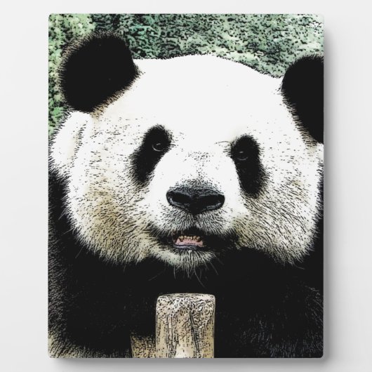 Panda Fotoplaat (Voorkant)