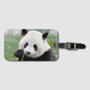 Panda géant 1 . étiquette bagage