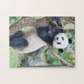 Panda Géant Accroché Dans Un Puzzle D'Arbre (Horizontal)