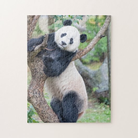 Panda Géant Accroché Dans Un Puzzle D'Arbre (Vertical)