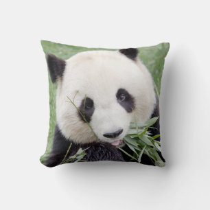 panda géant coussin photo 3.