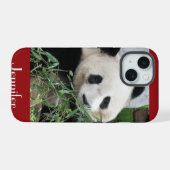 Panda Géant Cute Arrière - plan rouge foncé, Nom, (Verso Horizontal)