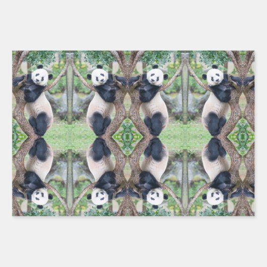 Panda géant dans une feuille de papier d'enveloppe (Devant 2)