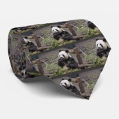 Panda géant mangeant cravate de bambou (Roulé)