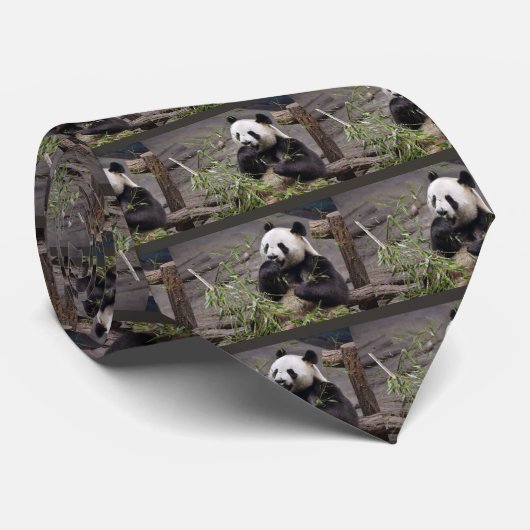 Panda géant mangeant cravate de bambou (Roulé)