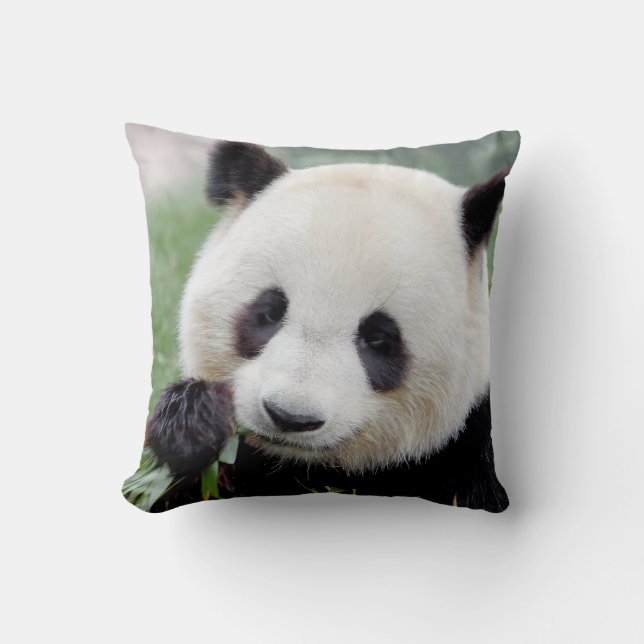 panda géant photo coussin 1. (Recto)