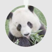 Panda géant photo ornement, animaux 0292. (dos)