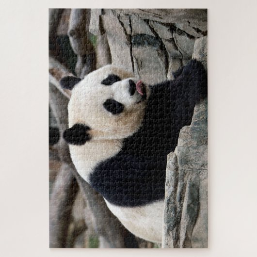 Panda géant relaxant, Puzzle Jigsaw (Vertical)