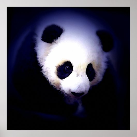 Panda Gezicht Poster - Panda Posters Prints (Voorkant)