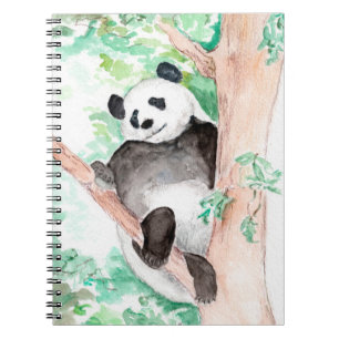 Panda, Hangen uit Notitieboek