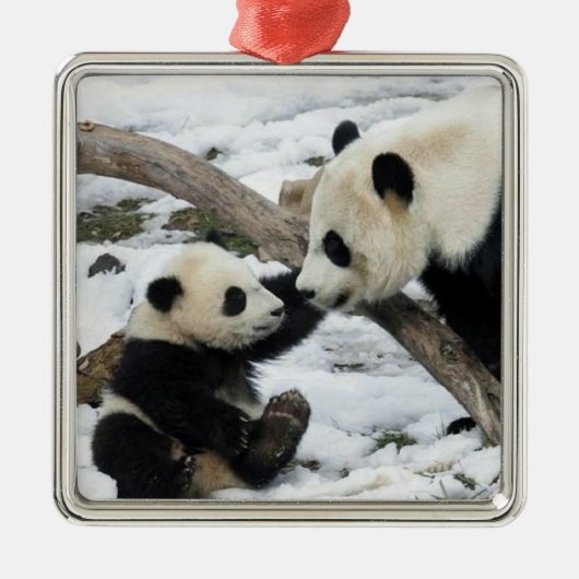 Panda High Vijf Metalen Ornament (Voorkant)