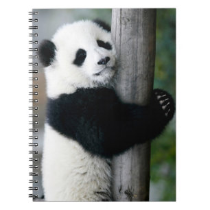 Panda Hugging Post Notitieboek