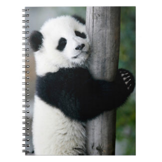 Panda Hugging Post Notitieboek